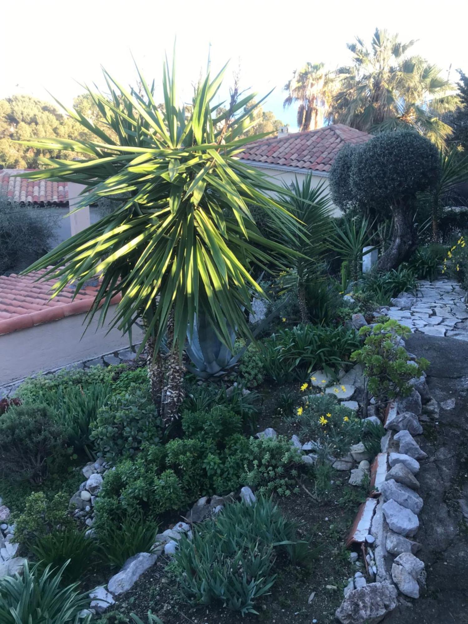 Appartement Villa Toit Terrasse Menton Eksteriør billede