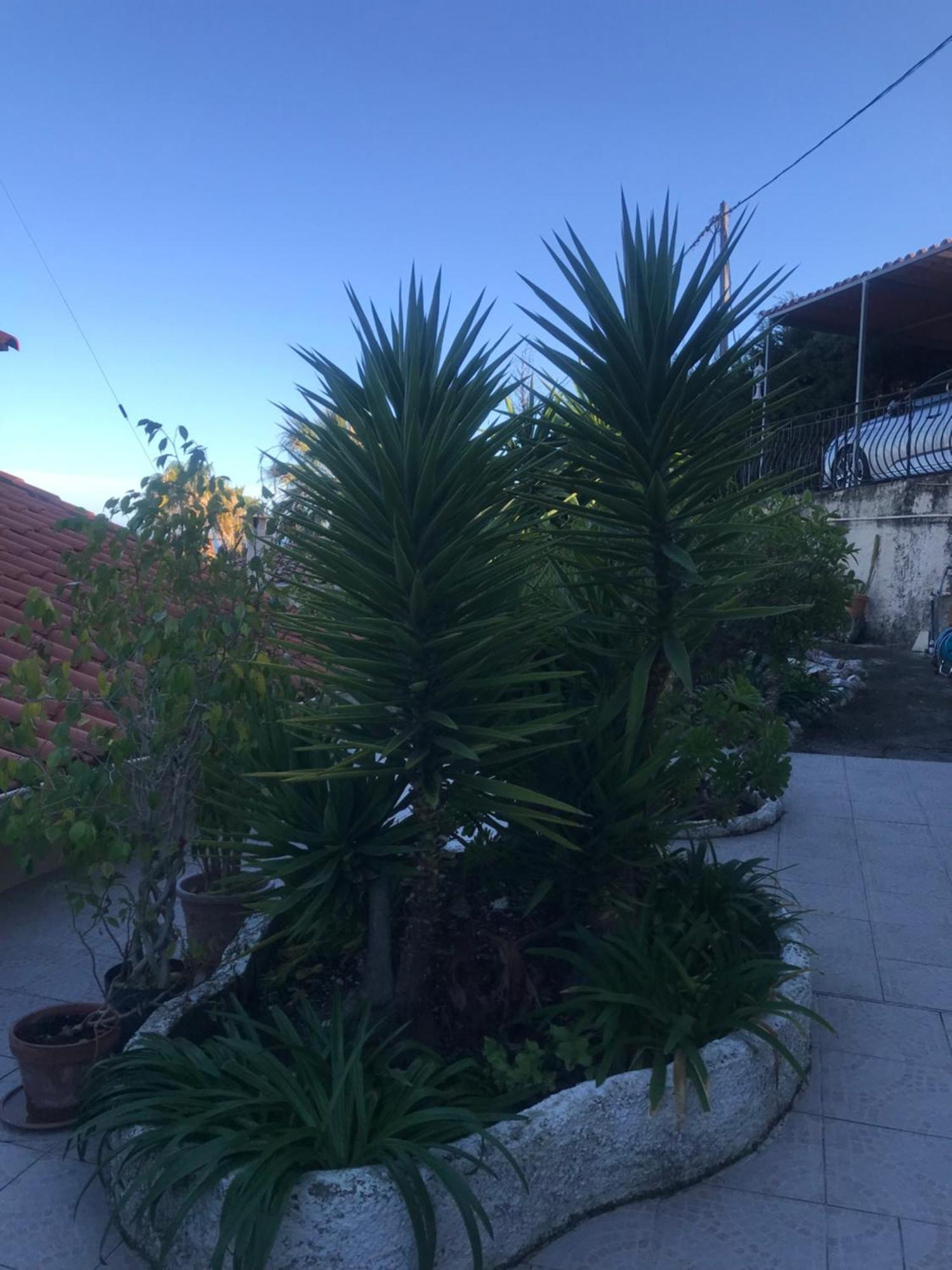 Appartement Villa Toit Terrasse Menton Eksteriør billede